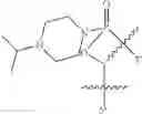 Fig. 43 - Oligonucleotide analogues having modified intersubunit linkages and/or terminal groups
