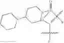 Fig. 49 - Oligonucleotide analogues having modified intersubunit linkages and/or terminal groups