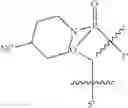 Fig. 65 - Oligonucleotide analogues having modified intersubunit linkages and/or terminal groups