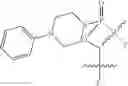Fig. 69 - Oligonucleotide analogues having modified intersubunit linkages and/or terminal groups