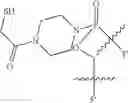 Fig. 74 - Oligonucleotide analogues having modified intersubunit linkages and/or terminal groups