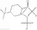 Fig. 77 - Oligonucleotide analogues having modified intersubunit linkages and/or terminal groups