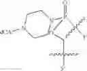 Fig. 79 - Oligonucleotide analogues having modified intersubunit linkages and/or terminal groups