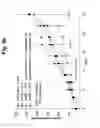 Fig. 11 - COMPOSITION FOR TREATING CANCER ASSOCIATED WITH HPV INFECTION