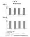 Fig. 13 - COMPOSITION FOR TREATING CANCER ASSOCIATED WITH HPV INFECTION