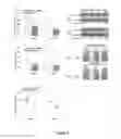 Fig. 07 - Methods and Compositions for Modulating Lung Cancer Tumor Initiating Cells (TIC), and Oxytocin Receptor (OXTR) Modulatory Agents for Use in Practicing the Same