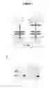 Fig. 02 - Bacteria-based protein delivery