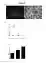 Fig. 03 - Bacteria-based protein delivery