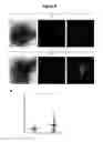 Fig. 09 - Bacteria-based protein delivery