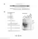 Fig. 03 - METHODS FOR TARGETED MODIFICATION OF GENOMIC DNA
