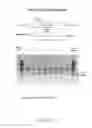 Fig. 04 - METHODS FOR TARGETED MODIFICATION OF GENOMIC DNA