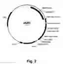 Fig. 03 - Methods for enhancing the degradation or conversion of cellulosic material