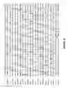 Fig. 04 - High molecular weight heparosan polymers and methods of production of use thereof