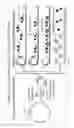 Fig. 05 - HIGH THROUGHPUT TELOMERIC CIRCLE ASSAY