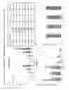 Fig. 16 - HIGH THROUGHPUT TELOMERIC CIRCLE ASSAY