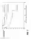 Fig. 16 - METHODS OF DIAGNOSING OR TREATING PROSTATE CANCER USING THE ERG GENE, ALONE OR IN COMBINATION WITH OTHER OVER OR UNDER EXPRESSED GENES IN PROSTATE CANCER