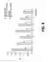 Fig. 17 - METHODS OF DIAGNOSING OR TREATING PROSTATE CANCER USING THE ERG GENE, ALONE OR IN COMBINATION WITH OTHER OVER OR UNDER EXPRESSED GENES IN PROSTATE CANCER