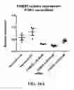 Fig. 28 - R2R1/2 in diagnosis and therapy