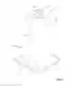 Fig. 02 - Safety cone with controlled illumination