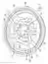 Fig. 04 - Jet regulator with impingement surface and annular wall