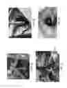 Fig. 13 - SHALLOW WELL-DRILLING APPARATUS