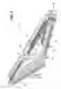 Fig. 06 - Apparatus for delivering drill pipe to a drill rig