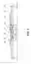 Fig. 08 - Apparatus for delivering drill pipe to a drill rig