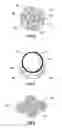 Fig. 03 - Isolation device containing a dissolvable anode and electrolytic compound