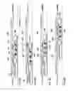 Fig. 04 - Apparatus and method for perforating a wellbore casing, and method and apparatus for fracturing a formation