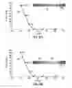 Fig. 06 - Fluid blocking analysis and chemical evalution