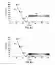 Fig. 07 - Fluid blocking analysis and chemical evalution
