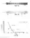Fig. 08 - Fluid blocking analysis and chemical evalution