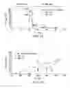 Fig. 12 - Fluid blocking analysis and chemical evalution