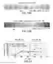 Fig. 14 - Fluid blocking analysis and chemical evalution