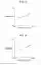 Fig. 05 - Fuel supply device for internal combustion engine