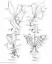 Fig. 03 - Apparatus for Harnessing Flowing Fluids to Create Torque
