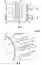 Fig. 03 - Gear pump
