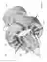 Fig. 12 - Integrated rotor for an electrical machine and compressor