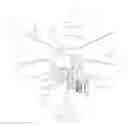 Fig. 01 - CEILING FAN HAVING SWITCH MODULE