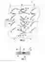 Fig. 06 - Compressor usable within a gas turbine engine