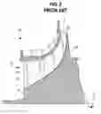 Fig. 03 - Impeller blade morphology