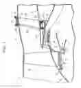 Fig. 02 - Stator-vane structure and turbofan engine employing the same