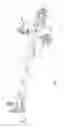 Fig. 08 - Fluid pump with multiple pump heads