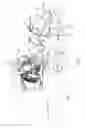 Fig. 10 - Fluid pump with multiple pump heads