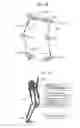 Fig. 10 - Actuator device, humanoid robot and power assist device