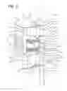 Fig. 04 - Shock absorber