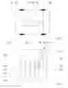 Fig. 02 - Gear selection unit for an automatic transmission for a vehicle, and method for operating a gear selection unit
