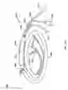 Fig. 15 - Grip and fitting assemblies and kits utilizing the same