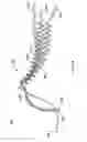 Fig. 16 - Grip and fitting assemblies and kits utilizing the same