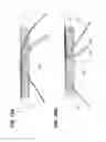 Fig. 20 - Headlight module and headlight device